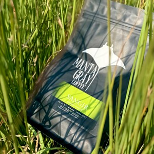 May include: A black coffee bag with a manta ray logo and the text "MANTA GRAY COFFEE" and "SANGIR BLACK TEA BANANA GREEN APPLE" printed on it. The bag is partially hidden in green grass.