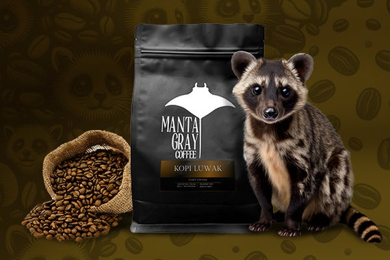 Kopi Luwak Beans - the MOST EXPENSIVE Coffee Beans in the World