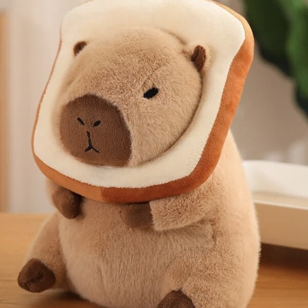 Capybara Plush Toy Different Styles Stuffed Animals