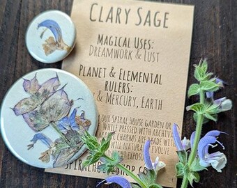 Clary Sage Botanical Pin-back Charm