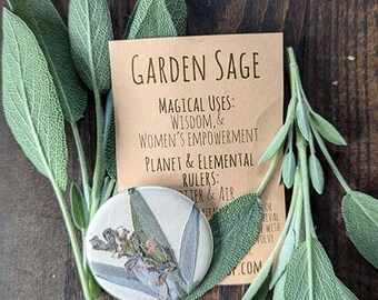 Garden Sage Botanical Pin-back Charm