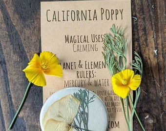 California Poppy Botanical Pin-back Charm