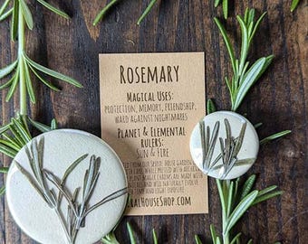 Rosemary Botanical Pin-back Charm