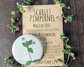 Scarlet Pimpernel Botanical Pin-back Charm