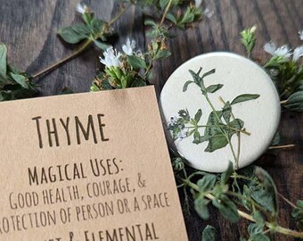 Thyme Botanical Pin-back Charm
