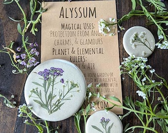 Alyssum Botanical Pin-back Charm