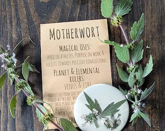 Motherwort Botanical Pin-back Charm