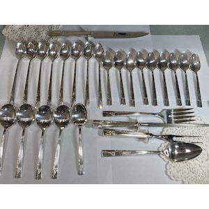 May include: A large collection of silver-toned flatware including numerous spoons of varying sizes, a long serving knife, a large serving fork, a smaller serving fork, and a single spoon, all featuring a decorative pattern on the handles.