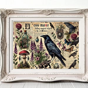 Mystische Raben Postkarten Set für Naturliebhaber, Vintage-inspirierte Kunstkarten, Naturgrüße, Witchy Deko, umweltfreundliches Briefpapier