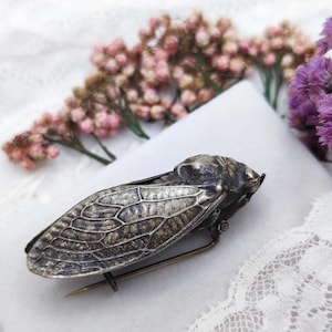 Antique Silver French Cicada Brooch. Realistic, Rare. Victorian, Art Nouveau, Nature-Inspired, Lucky Charm, Meaningful Gift for Her or Him