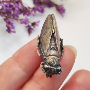 Antique Silver-Plated French Cicada Brooch. Realistic. Victorian, Art Nouveau, Nature-Inspired, Lucky Charm, Meaningful Gift for Her or Him