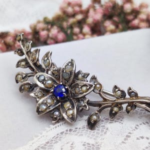 Peut inclure: Une broche en argent avec une pierre précieuse bleue au centre d'un motif floral. La fleur est entourée de petites perles et la tige est décorée de feuilles et de perles.