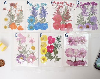 Dried pressed flowers and leaves for resin casting, flower arrangements, jewelry DIY, greeting cards, nail art dried flowers, kits