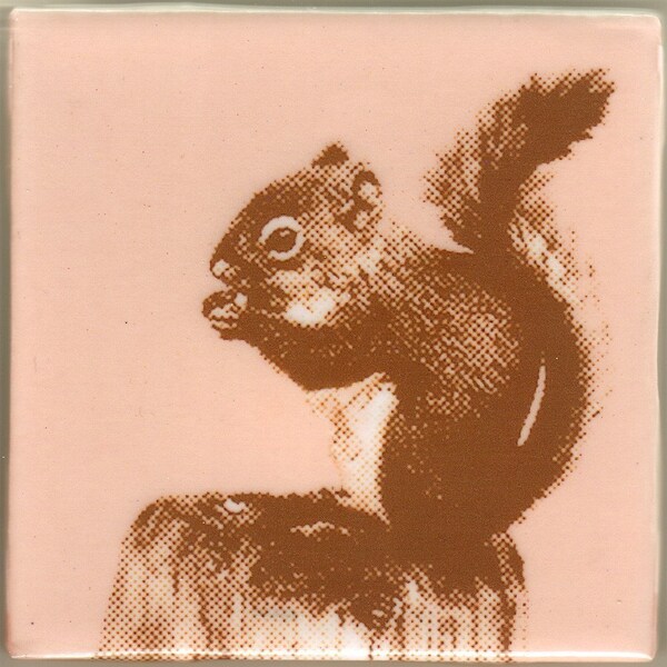 Pink Squirrel Coaster