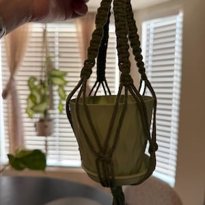 May include: A sage green macrame plant hanger with a matching ceramic pot. The plant hanger is made of twisted rope and features a knotted design. The pot has a textured surface and a small attached saucer.