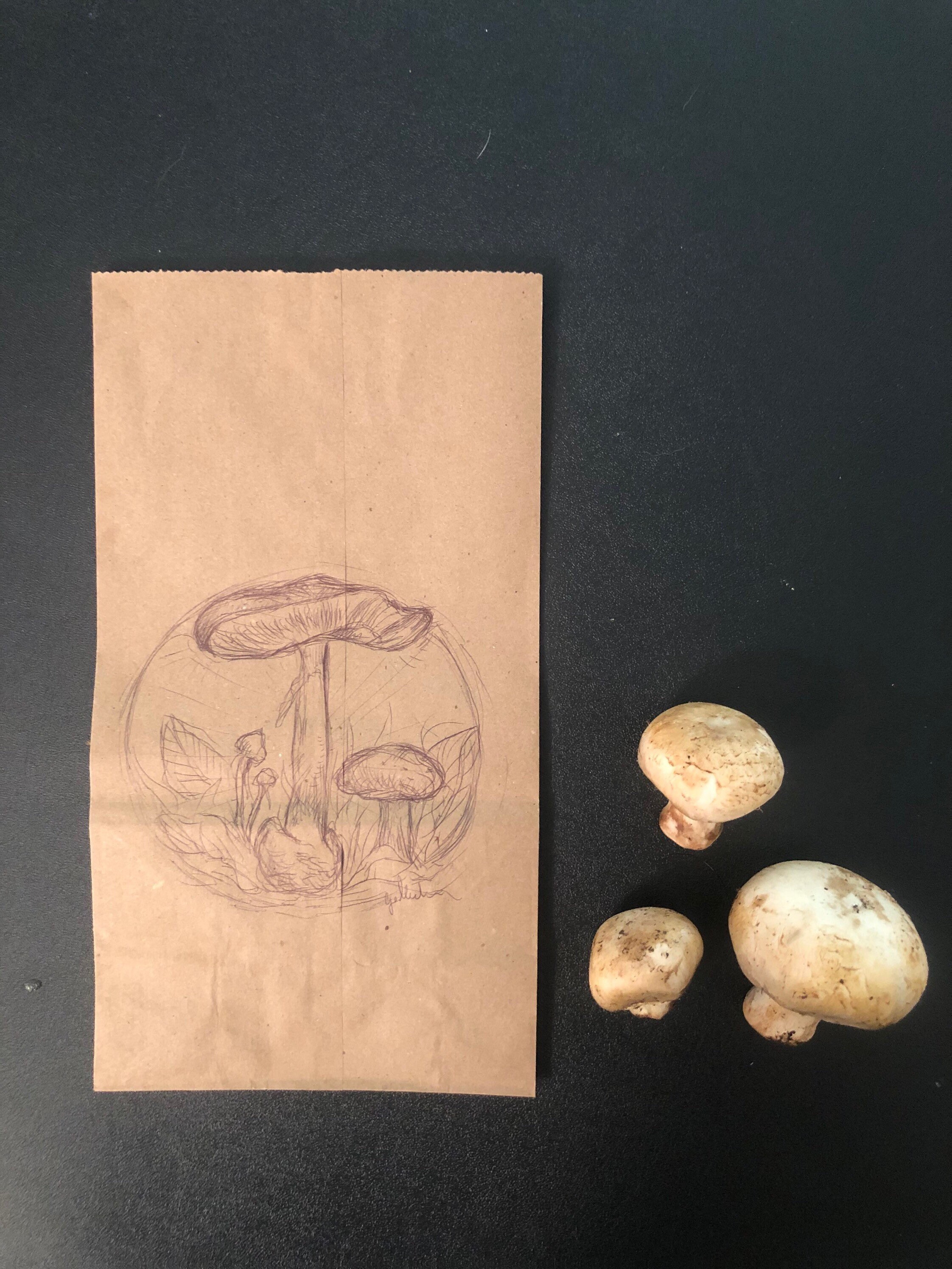 Brown paper bag for Mushrooms by 1Aeon Etsy
