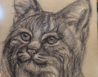 Lynx drawing by Gabe Molnar/1Aeon, lynx, bobcat drawing, lynx sketch, pen drawing cat, wildcat, bobcat art, lynx art