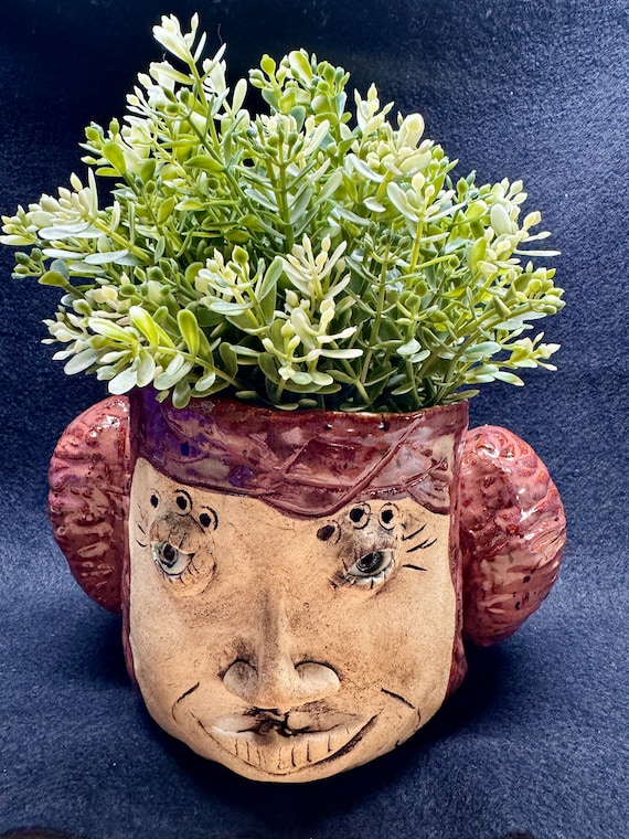 Face Planter - Hair in Buns- (Free US Shipping)