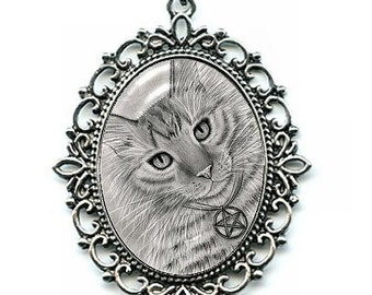Seite von Pentacles Katze Halskette langhaarige Tabby Katze Zeichnung Cameo Anhänger Tarot Kunst 40x30mm Geschenk für Katzenliebhaber Schmuck Carrie Hawks