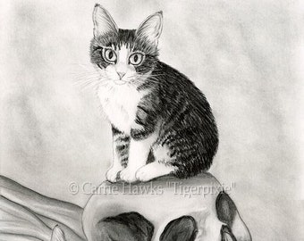 Witch's Cat Art Tabby Kittens Drawing Cats Vampire Skull Cat Drawing Gothic Fantasy Cat Art Print Cat Lovers Art Carrie Hawks