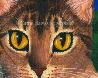Cat Owls Art Cat Painting Saw Whet Owl Abyssinian Cat Art Fantasy