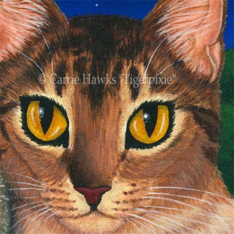 Cat Owls Art Cat Painting Saw Whet Owl Abyssinian Cat Art Fantasy