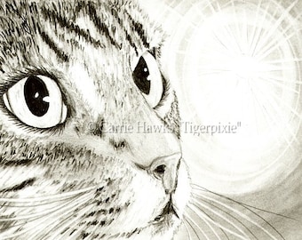 Tabby Cat Drawing Fairy Light Cat Art Fantasy Big Eye Art Tabby Cat Portrait Fantasy Cat Art Print Cat Lovers Art Carrie Hawks