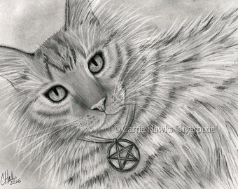 Long Haired Tabby Cat Tarot Art Cat Portrait Drawing Page of Pentacles Fantasy Cat Art Print Cat Lovers Art Carrie Hawks