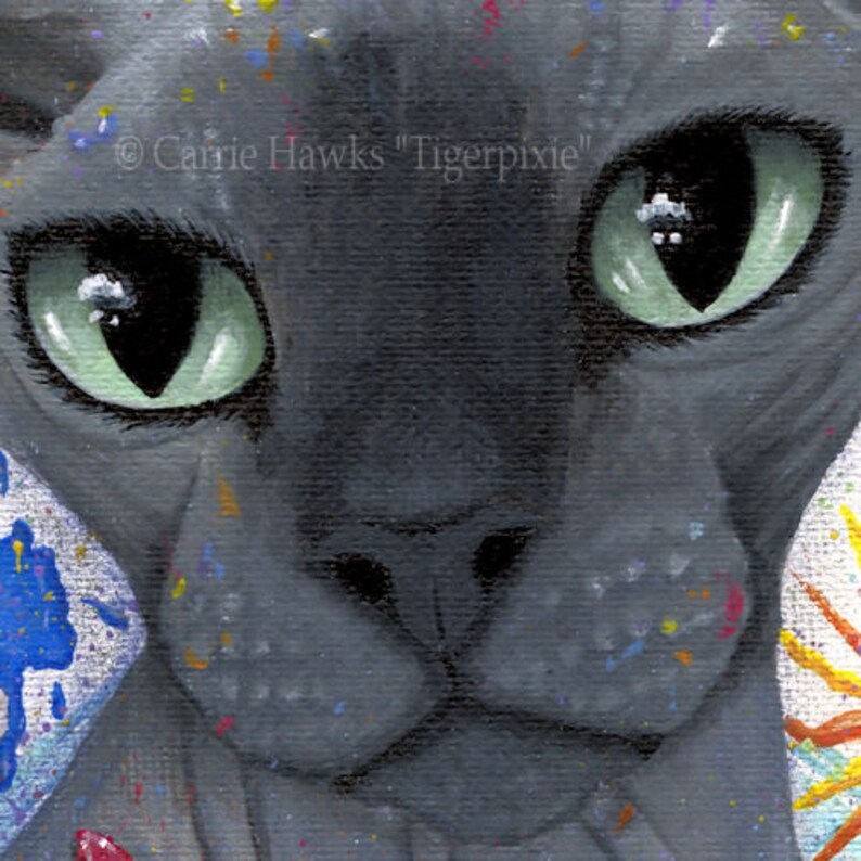 Sphynx Cat Canvas Print Artist Cat Pop Art Blue Sphynx Painting Splattered Paint Paw Prints Hairless Limited Edition Canvas Print 11x14 image 2