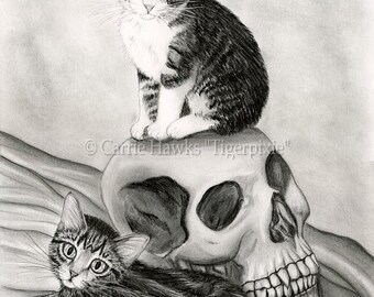 Witch's Cat Art Cat Drawing Tabby Kittens Cats Skull Gothic Fantasy Cat Art Limited Edition Canvas Print 11x14 Art For Cat Lover