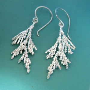 May include: A pair of silver earrings shaped like cedar branches. The earrings are delicate and intricate, with a natural, organic look.