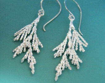 Juniper Branch Earrings in Sterling Silver