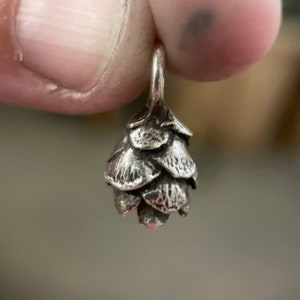 May include: A silver charm in the shape of a pine cone. The charm is detailed and realistic, with a textured surface.
