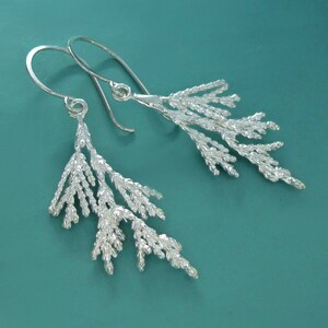 Juniper Branch Earrings in Sterling Silver image 2