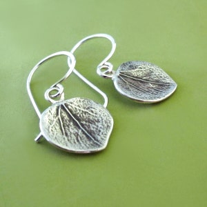 Aspen Leaf Earrings in Sterling Silver