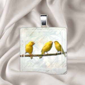 3 Little Canaries - Square Glass Tile Pendant Necklace - Chain Not Included