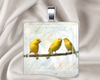 3 Little Canaries - Square Glass Tile Pendant Necklace