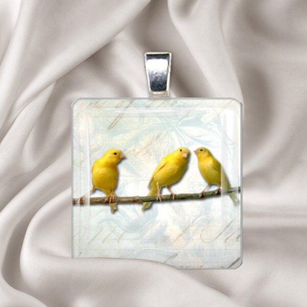 3 Little Canaries Square Glass Tile Pendant Necklace Etsy