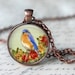 see more listings in the Birds, Feathers section