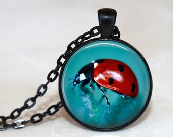 Ladybug Pendant, Necklace or Key Chain - Ladybug Necklace, Ladybug Key Chain, Ladybug photo necklace, Lady Bug, Black Red and Blue, Bug