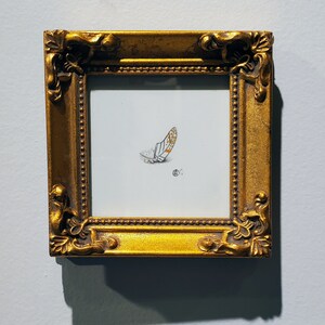 May include: A small framed artwork with a gold ornate frame. The artwork features a detailed drawing of a butterfly wing with orange and white patterns. The frame is rectangular and has decorative detailing on the corners.