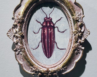 Wine Jewel beetle miniature acrylic painting in ornate frame