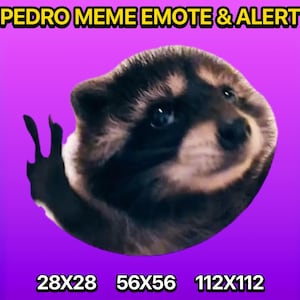 PEDRO DANCE MEME - Meme Emote | Stream Emote | Animate Emote | Kawaii Gif | Alert Twitch | Twitch Emote | Emote Twitch | Twitch Emote