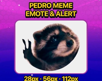 Pedro Raccoon Meme Emote & Alert for Twitch Discord Stream Animated GIF