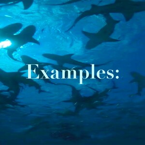May include: Underwater shot of several sharks swimming in a blue ocean. The sharks are silhouetted against the sunlight, creating a dramatic effect. The word "Examples:" is written in white text across the image.