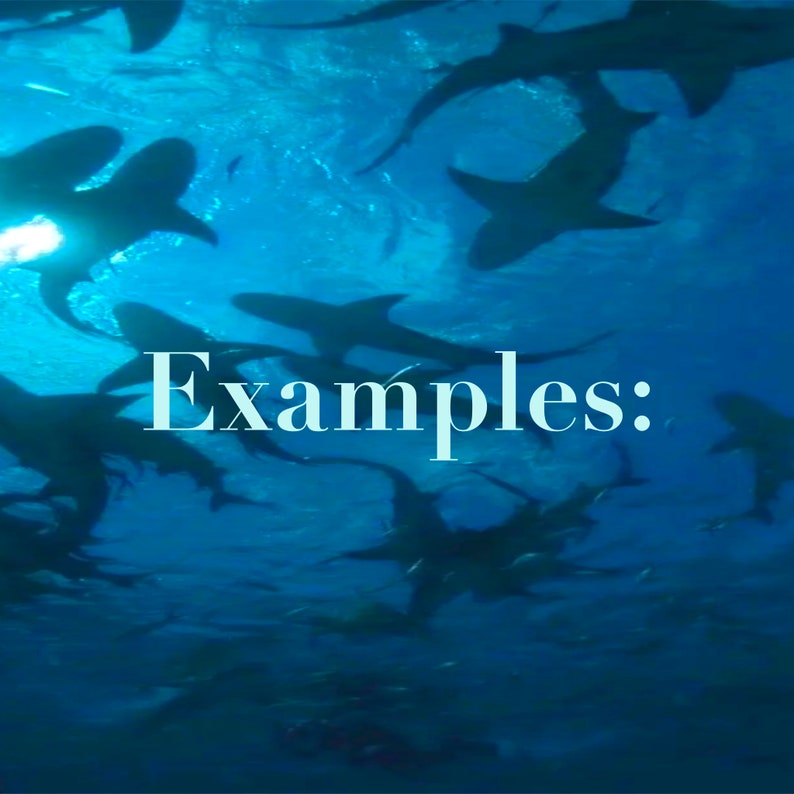 May include: Underwater shot of several sharks swimming in a blue ocean. The sharks are silhouetted against the sunlight, creating a dramatic effect. The word "Examples:" is written in white text across the image.