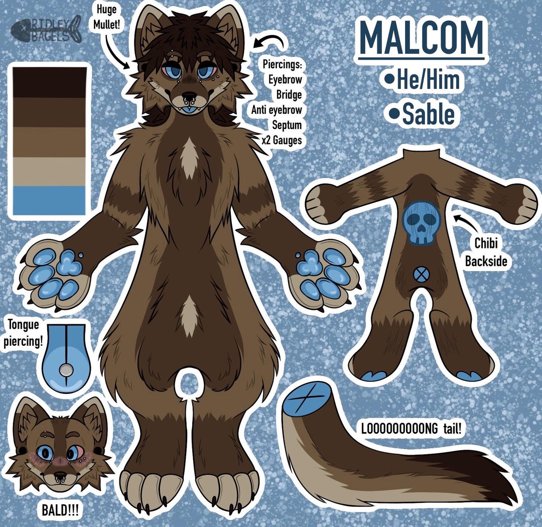 Cheap Furry Ref Sheet Commissions - READ DESCRIPTION - Etsy
