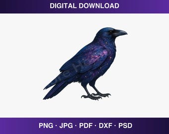 Celestial Raven PNG, Galaxy Crow Clipart, Fantasy Raven Sublimation Design, Cosmic Bird Digital Download, Mystical Raven PNG Art