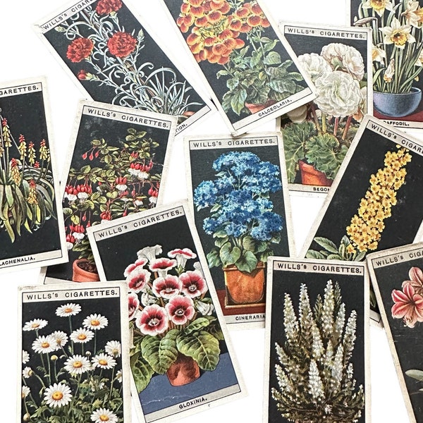 3pcs FLOWER POT CARDS 2-5/8" Vintage Antique Mini Trade Card Floral Theme British Cigarette Premiums Miniature Mystery Lot