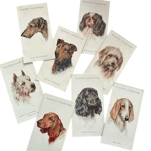 3pcs DOG BREED CARDS 2-5/8&quot; Vintage Miniature Trade Card Antique Animals British Cigarette Premiums Mystery Lot